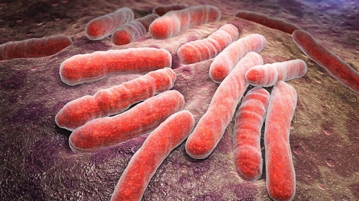 Person-to-person contact may cause most drug-resistant TB cases 